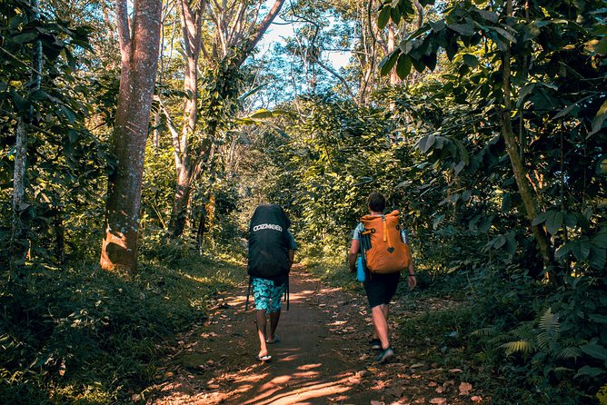 2D1N Senaru Crater Rim Trekking - 7:00 am at Senaru, with the forest ahead