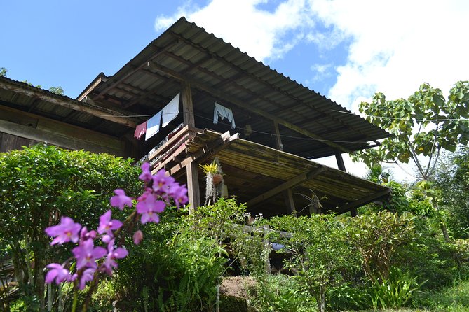 3-Day Chiang Dao Mountain Trek - Key things to know before you book