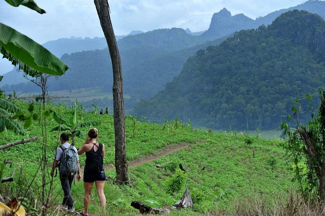 3-Day Chiang Dao Mountain Trek - Day 2: The demanding heart of the trek