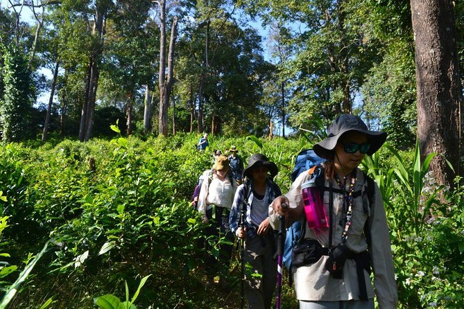 3-Day Chiang Dao Mountain Trek - Day 3: Down to the Maetang River valley
