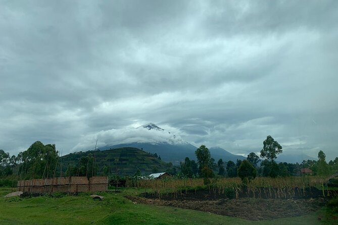3 Day Gorilla Trek at Bwindi National Park via Kigali - Day 3: return to Kigali, with Mgahinga as an option