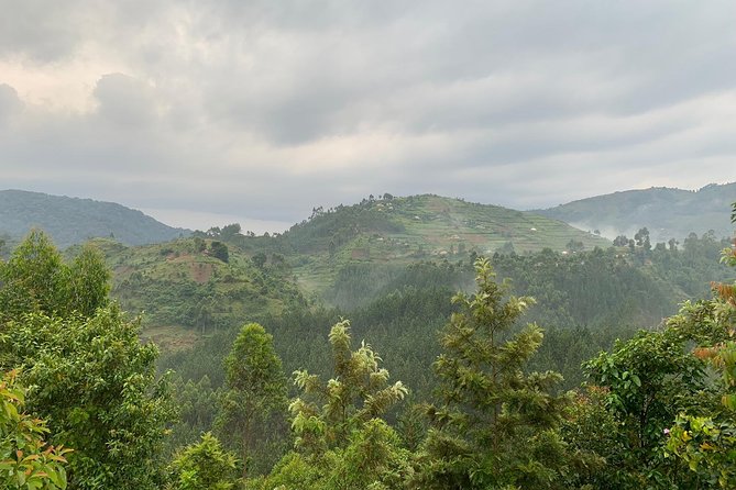 3 Day Gorilla Trek at Bwindi National Park via Kigali - Practical details that deserve attention
