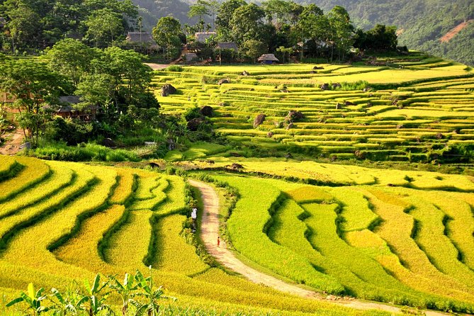 3-Day Trekking In Pu Luong Nature Reserve Private Tour - Who should book this Pu Luong itinerary?
