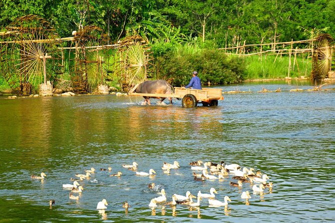 3-Day Trekking In Pu Luong Nature Reserve Private Tour - Day three: a gentler walk to Kit village