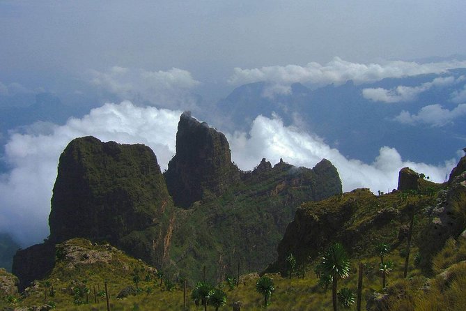 3 Days Bale Mountains Trekking - Day 2: Sanetti Plateau at 4,000 meters