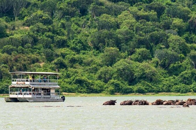 3 Days gorilla trekking Safari tour in Uganda - Day one: Entebbe to Bwindi through changing country