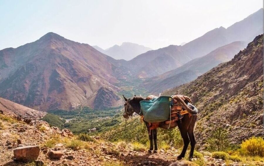 3 Days Trek Atlas Mountains Berber Villages from Marrakech - Packing for heat, cold, and rough trails