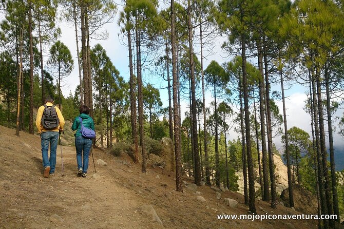3-Hour Hiking Experience in Roque Nublo - Why Roque Nublo deserves a walking visit