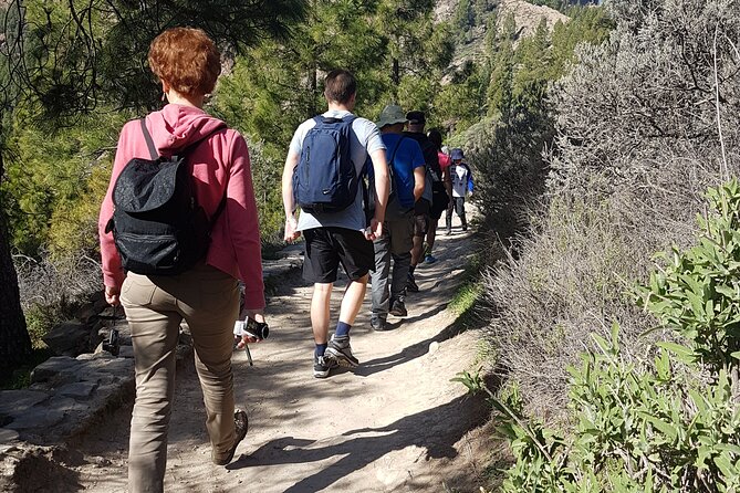3-Hour Hiking Experience in Roque Nublo - What the $80.32 price buys you