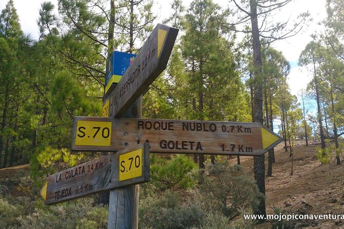 3-Hour Hiking Experience in Roque Nublo - A small group with a personal feel
