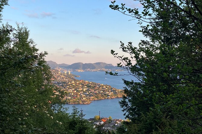 3-Hour Private Norwegian Hiking Experience with Local Guide - Who will get the most from this Bergen hike