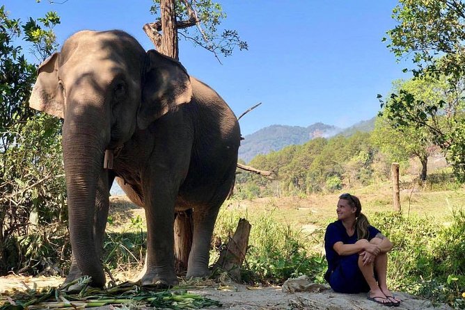 3-in-1: Doi Inthanon Tour, Elephant Sanctuary, and Trekking Trail - Who should book this Doi Inthanon day trip?