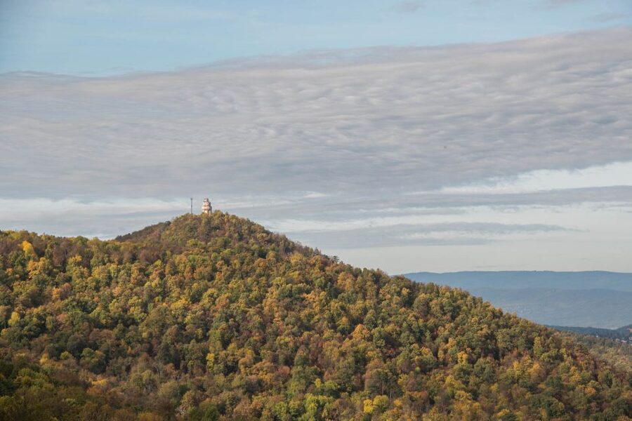 3Hour Outdoor Budapest Normafa Hike&History With a Historian - A gentle route to Elizabeth Lookout