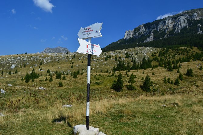 4-Day Carpathian Trek: Bucegi Mountains and Piatra Craiului National Park - Guesthouses, food, and the village experience