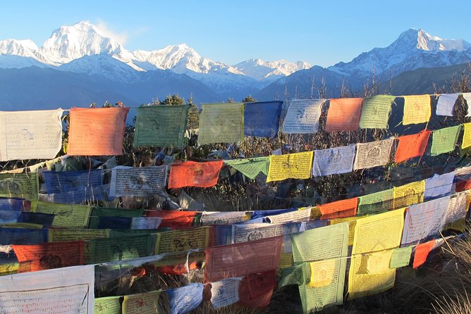 4-Day Private Poon Hill Trekking Tour - Day 1: Pokhara to Nayapul and Ulleri
