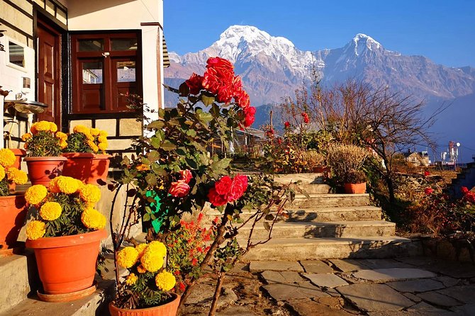 4-Day Private Poon Hill Trekking Tour - Teahouses, meals, and what you should pack