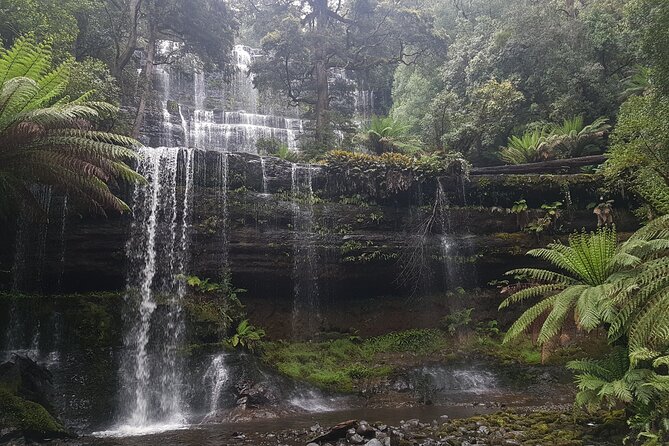 4 Day Wild Tasmania Tour / Wildlife, Nature, Hiking / Inc. Accom - Who should book this Tasmania tour?