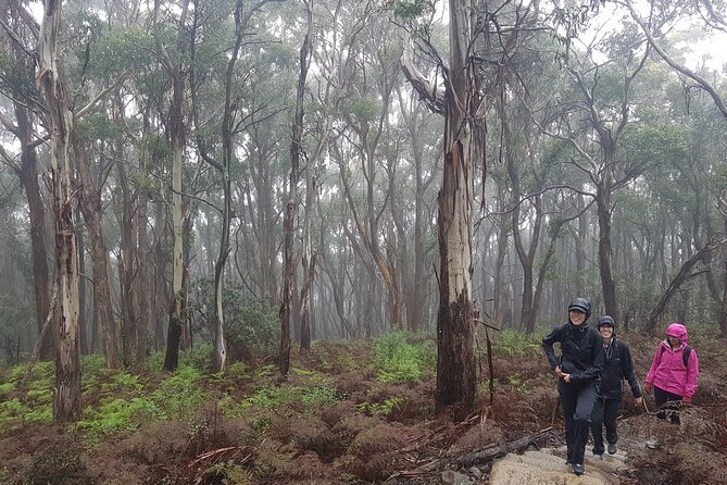 4 Day Wild Tasmania Tour / Wildlife, Nature, Hiking / Inc. Accom - Should you book the four-day Wild Tasmania tour?