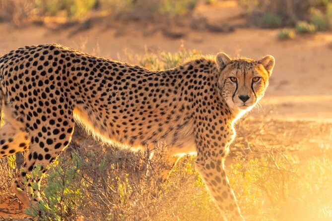4 days Best experience Kilimanjaro Hike, Serengeti &Ngorongoro - Materuni Village and the lower slopes of Kilimanjaro