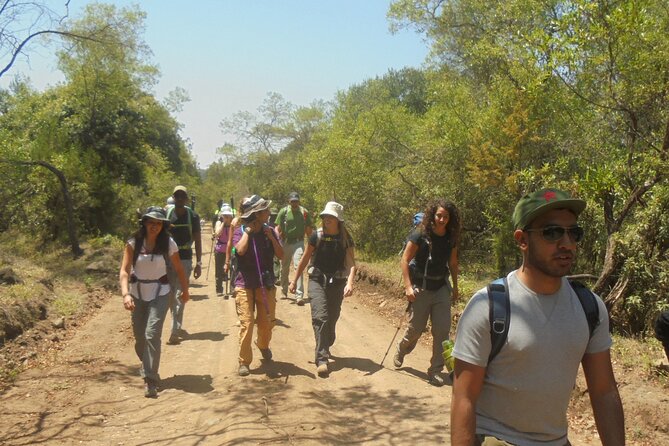 4 Days Mount Meru Climbing | Hiking | Trekking Tour - Day 4: The forest descent to Momela Gate