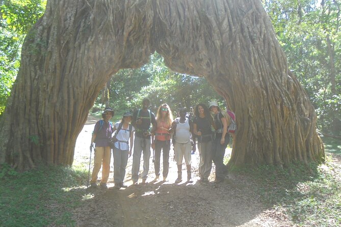 4 Days Mount Meru Climbing | Hiking | Trekking Tour - Food, huts, guides, and daily comfort