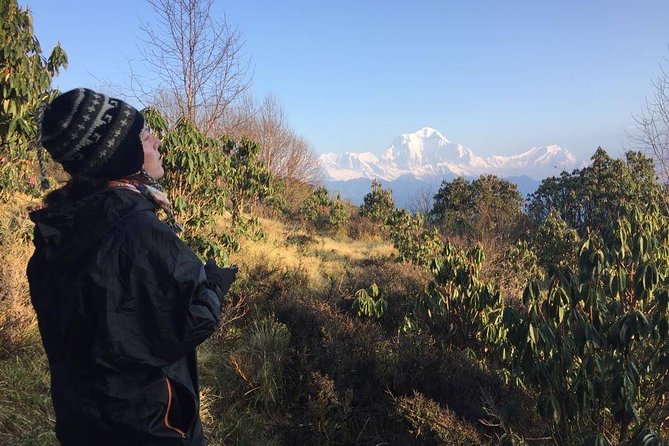 4 Days Poon Hill Trek - Why Poon Hill works so well as a short Nepal trek