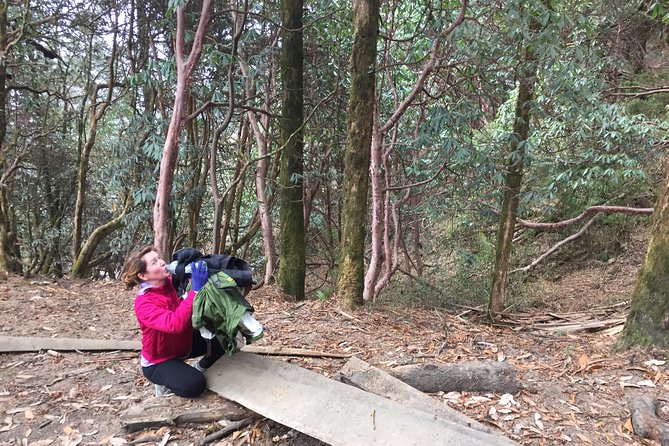 4 Days Poon Hill Trek - A likely route through Ghorepani, Poon Hill, Tadapani, and Ghandruk