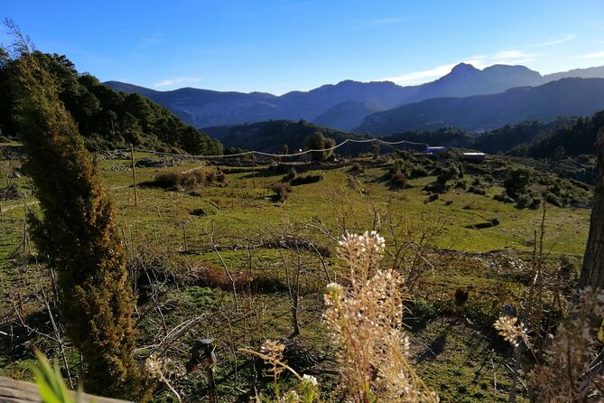 4 days trekking in the Rif mountains - Accommodation, food, and the level of comfort