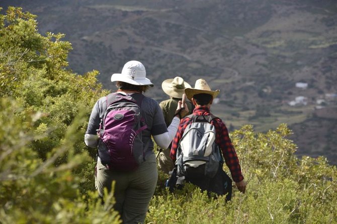 4 days trekking in the Rif mountains - How much value do you get for $329.63?