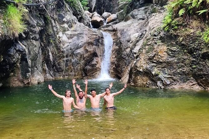 4-Hour Jungle Hike and Waterfall Swim - Cascadas Palo Maria and the fish-filled swimming pool