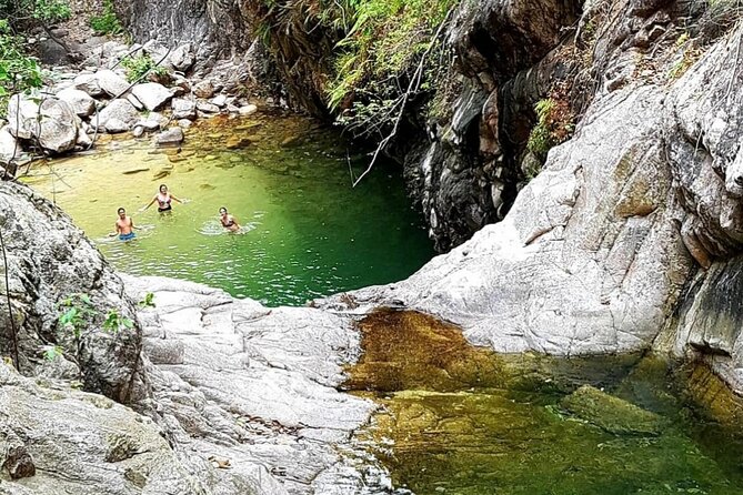 4-Hour Jungle Hike and Waterfall Swim - What the guides add to a $35 experience