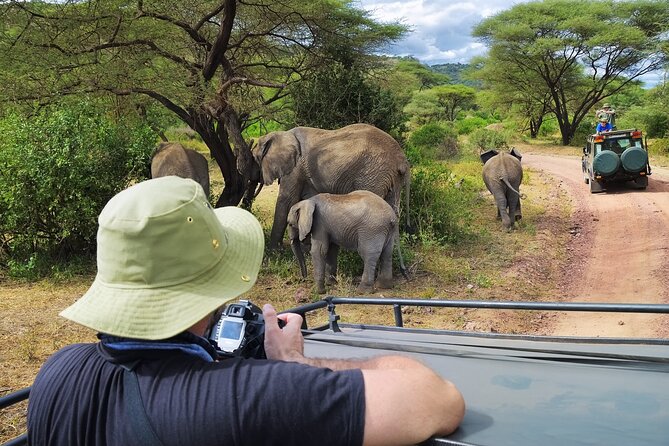 5 days safari, hiking & culture (Serengeti & kilimanjaro) - Day 5: Materuni Waterfalls, coffee, and Kikuletwa hot springs