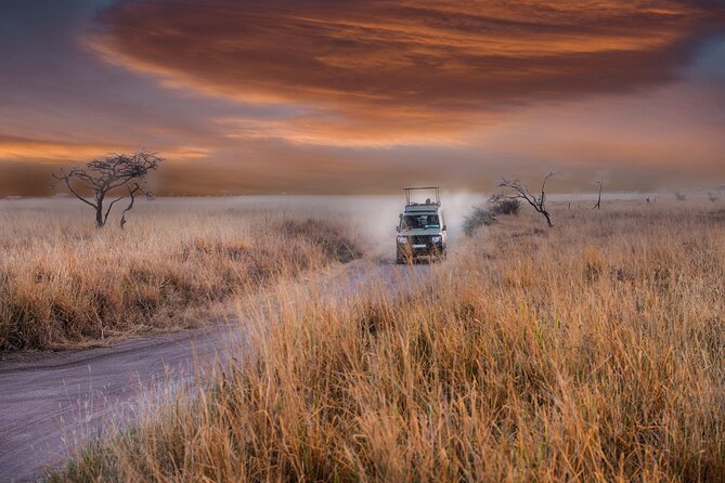 5 days safari, hiking & culture (Serengeti & kilimanjaro) - Food, camping, and what the price covers