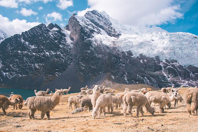 6 day Rainbow Mountain x Ausangate Trek - FlashpackerConnect - What the support package is really worth