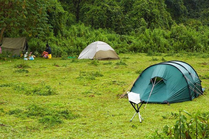 6 Days Bale Mountains Trekking - Day 5: From high country to Harenna Forest