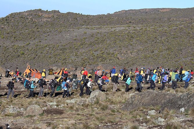 6 Days: Hiking Kilimanjaro via Machame Route - Day 5: Uhuru Peak and the long descent