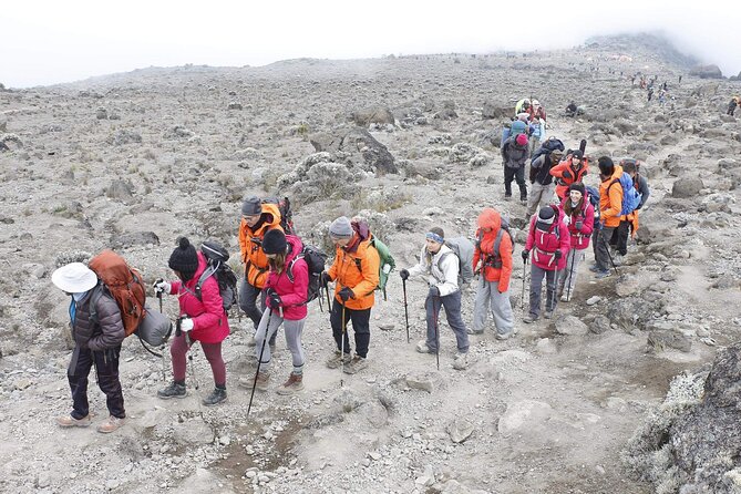 6 Days: Hiking Kilimanjaro via Machame Route - Day 6: Descending through rainforest to Mweka Gate