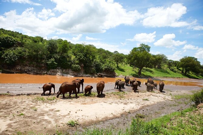 6 Days Serengeti Safari(hiking waterfalls &coffee tour) - At a glance: six days from elephants to coffee