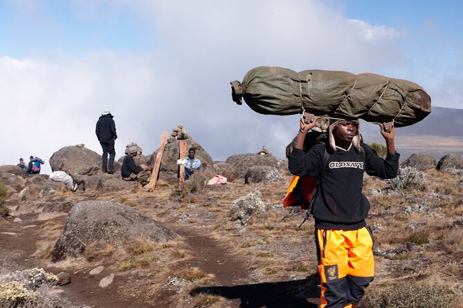 7-Day Private Kilimanjaro Hiking Tour via Machame from Arusha - Day 2: Shira Plateau views and changing vegetation
