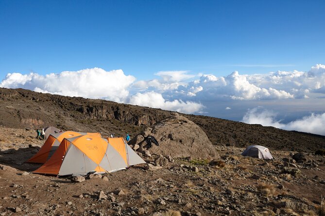7-Day Private Kilimanjaro Hiking Tour via Machame from Arusha - Day 3: High altitude at Lava Tower, then down to Barranco