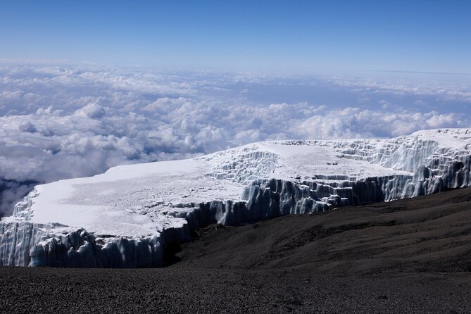 7-Day Private Kilimanjaro Hiking Tour via Machame from Arusha - Day 7: The forest descent to Mweka Gate