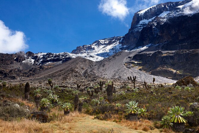 7-Day Private Kilimanjaro Hiking Tour via Machame from Arusha - Day 1: Arusha to Machame Gate and the cloud forest