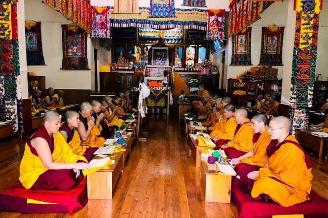 7 Days Dharamsala - Dalai Lama home Trek - Day 4: Forest climbing, a tea stop, and another night outdoors