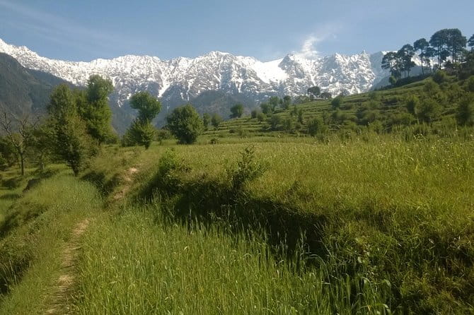 7 Days Dharamsala - Dalai Lama home Trek - Day 2: Leave town for pine forests and village trails