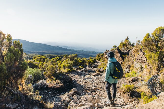 7 Days Kilimanjaro trek via Machame route - Day four: scrambling over the Barranco Wall