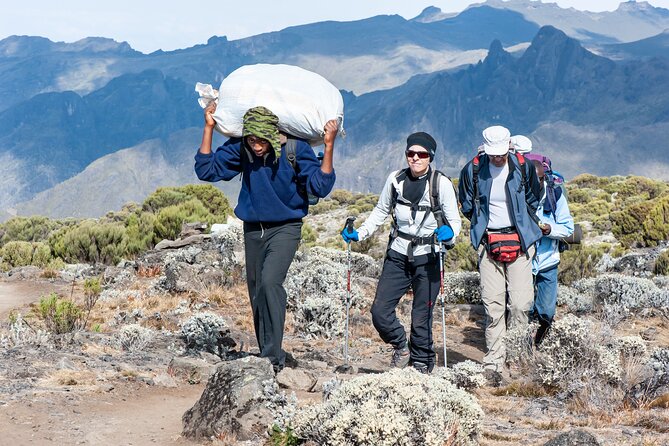 7 Days Kilimanjaro trek via Machame route - Day seven: down through the forest to Mweka Gate
