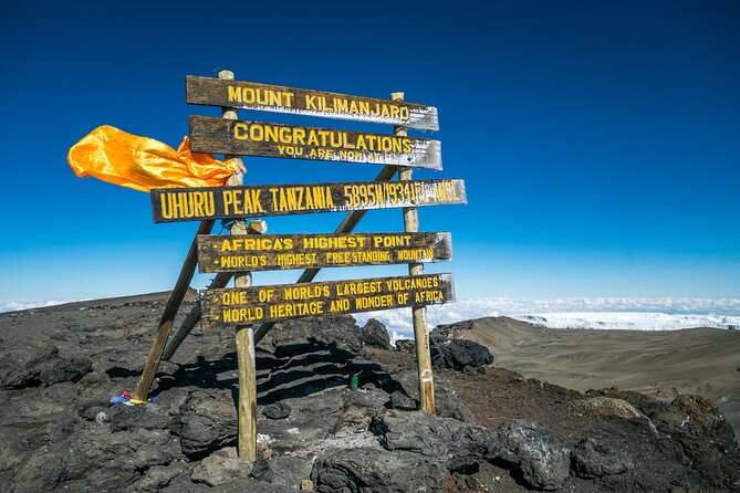 7 Days Kilimanjaro trek via Machame route - Day two: climbing onto the Shira Plateau
