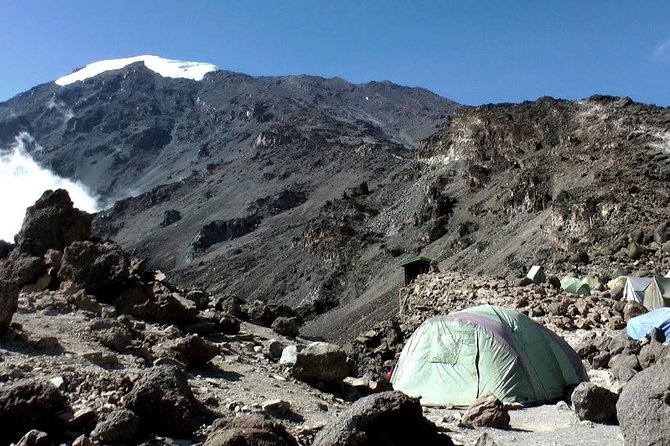 7 Days Machame Route Kilimanjaro Trekking - Day 1: Rainforest, mud, and the first seven hours