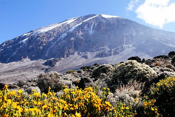 7 Days Machame Route Trek Mount Kilimanjaro - Why the Machame Route earns its nickname