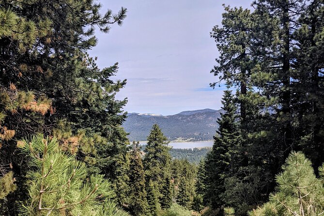A Local's Favorite Hike in Big Bear with Lake Swimming Experience - Timing, meeting point, and cancellation details